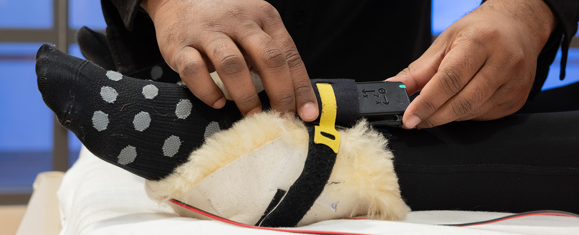 A sensor is attached to a person's ankle with a strap and cushion. 